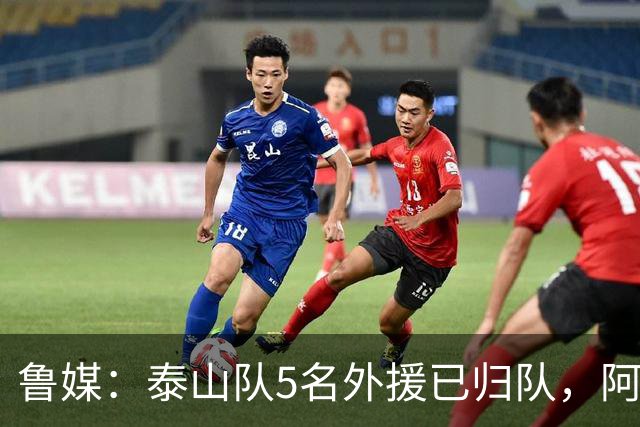 鲁媒：泰山队5名外援已归队，阿尔瓦罗6月份复出难度比较大